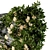 Ivy Greenery Box: Beauty in Bloom 3D model small image 3