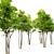 Twin Majestic Maple Trees 3D model small image 2