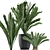 Tropical Exotic Plants Collection 3D model small image 3