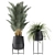 Tropical Indoor Plant Collection 3D model small image 3