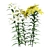 Outdoor Lily Garden Blossoms 3D model small image 2
