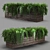 Botanical Bliss: Vibrant Plants with 285K Poly Count 3D model small image 1
