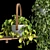 Lush Hanging Scindapsus Duo 3D model small image 7