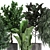 Exotic Indoor Plant Collection 3D model small image 4