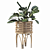 Elegant Rattan Maranta Stand 3D model small image 3