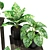 Green Oasis: Potted Plants Set 3D model small image 2