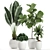 Exotic Plant Collection for Indoor and Outdoor Spaces 3D model small image 1