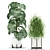 354 Plant Collection: Beautiful and Lifelike 3D model small image 2