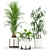 354 Plant Collection: Beautiful and Lifelike 3D model small image 3