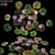 Waterlily Model Collection - 4 Formats 3D model small image 1