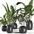 Botanical Bliss: 4 Plant Collection 3D model small image 4