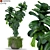 Botanical Bliss: Diverse Plant Collection 3D model small image 1