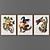 Wooden Frame Pictures Set 3D model small image 1