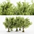  Majestic American Beech Tree Collection 3D model small image 1