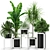 Green Oasis: Botanical Collection 372 3D model small image 1