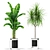 Green Oasis: Botanical Collection 372 3D model small image 2