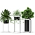 Green Oasis: Botanical Collection 372 3D model small image 3