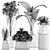 Exotic Plants Collection: Alocasia, Sansevieria, Schefflera & Agave 3D model small image 5