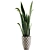 Exotic Greenery: Plants Collection 44 3D model small image 2