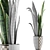 Exotic Greenery: Plants Collection 44 3D model small image 4