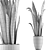 Exotic Greenery: Plants Collection 44 3D model small image 5