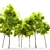 Dynasty Chinese Elm Tree 3D model small image 3