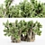 African Baobab Tree Collection: 5 Majestic Trees, 12m-10m Height 3D model small image 1