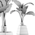 Exotic Alocasia Plant Collection 48 3D model small image 5