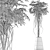 Exotic Plants Collection: Schefflera Arboricola 3D model small image 5