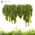 

Acacia Cognata Hanging Plant 3D model small image 1