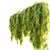 

Acacia Cognata Hanging Plant 3D model small image 2
