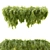 

Acacia Cognata Hanging Plant 3D model small image 3