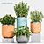 Botanical Bliss: Decorative Planter Set 3D model small image 1