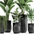 Exotic Plant Collection: Indoor and Outdoor Beauties 3D model small image 3