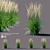 Karl Foerster Reed Grass: Elegant Calamagrostis Accent 3D model small image 1