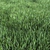 Lush Green Grass for Stunning Landscapes 3D model small image 2