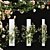 Regal Rose Sunset Climber 3D model small image 1