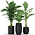 Lush Greenery Collection: 384 Varieties 3D model small image 2