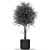 Exquisite Plants Collection 387 3D model small image 2