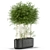 388 Plants Collection: Poly: 2091380, Verts: 1417350 3D model small image 3