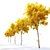 Dynasty Chinese Elm: Autumn Beauty 3D model small image 3