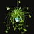 Indoor Hanging Plants Set 3D model small image 2