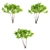 Aylant 3-in-1: Ailanthus Altissima Collection 3D model small image 5