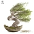  Serene Bonsai Winds 3D model small image 1