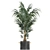 Exotic Plant Collection in Black Pots 3D model small image 3