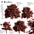 Vibrant Berberis Ottawensis Bushes for your Garden 3D model small image 1