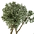 Outdoor Greenery Set: 90 Tree-in-Pot 3D model small image 4