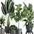 Exotic Plant Collection in Black Pots 3D model small image 2