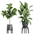 Exotic Plant Collection in Black Pots 3D model small image 3