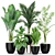 Green Oasis: Exquisite Plant Collection 3D model small image 1